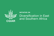 cgiar - ECOSID